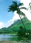 Bora Bora shore as seen from the road (John Beck).